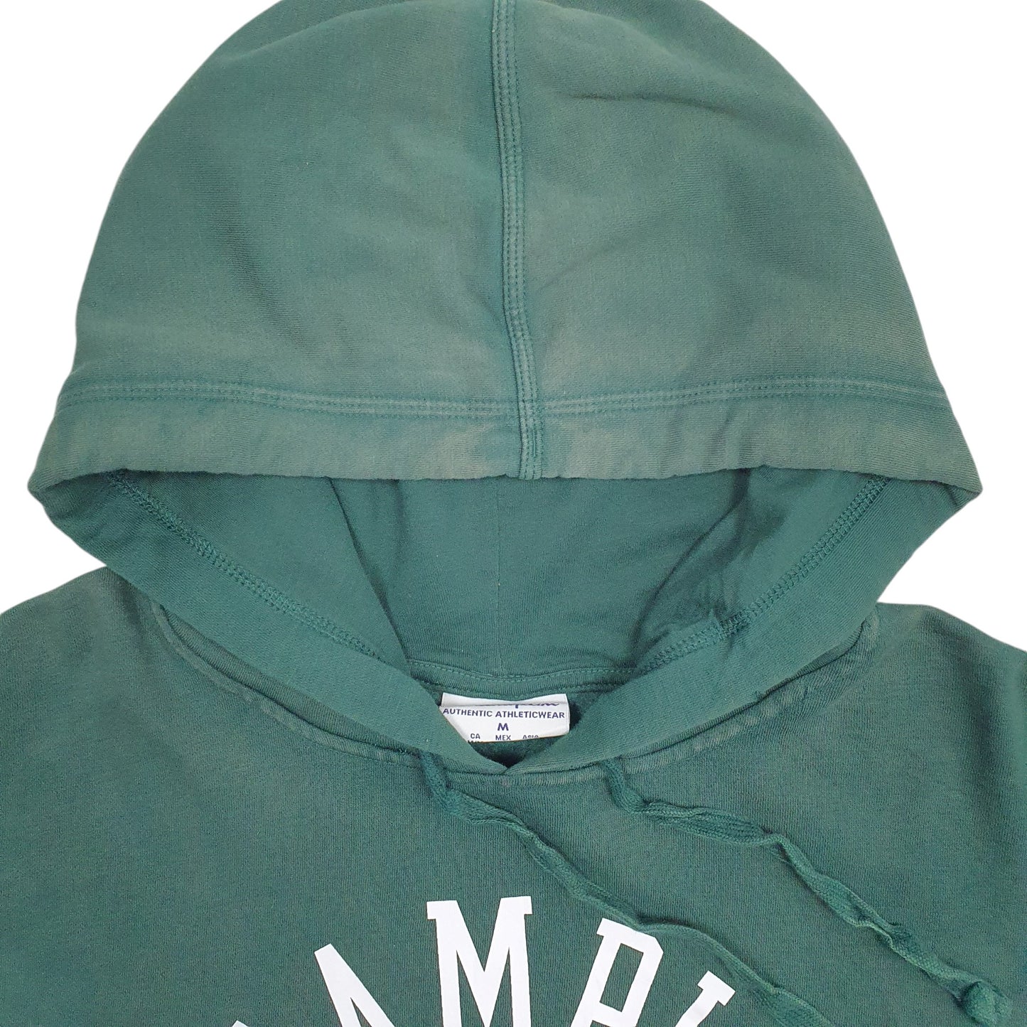 Mens Green Champion Spellout Hoodie Jumper
