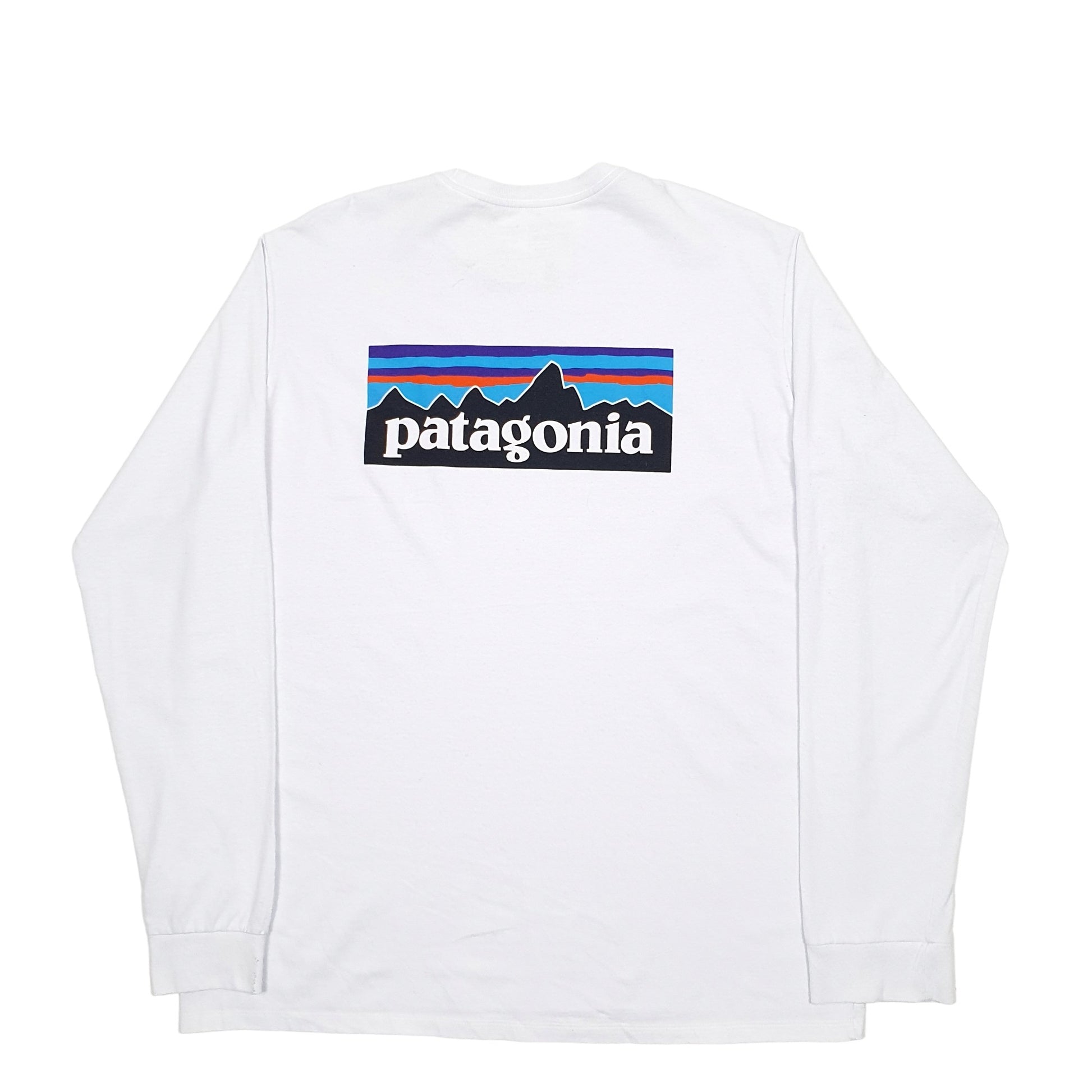 Mens Blue Patagonia Spellout Long Sleeve T Shirt