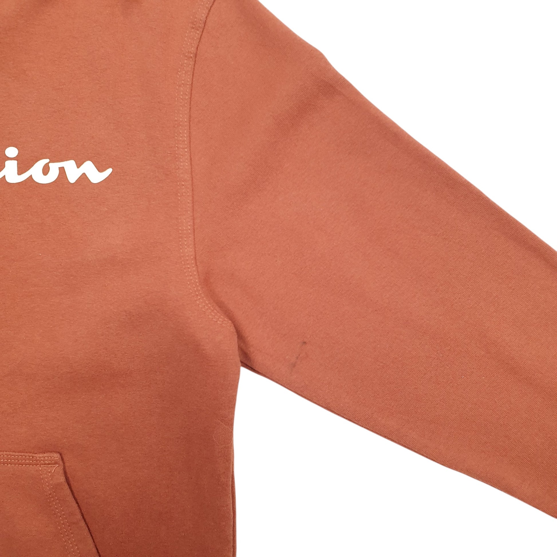 Mens Brown Champion Spellout Hoodie Jumper