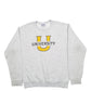 Womens Grey Jerzees University Spellout Crewneck Jumper