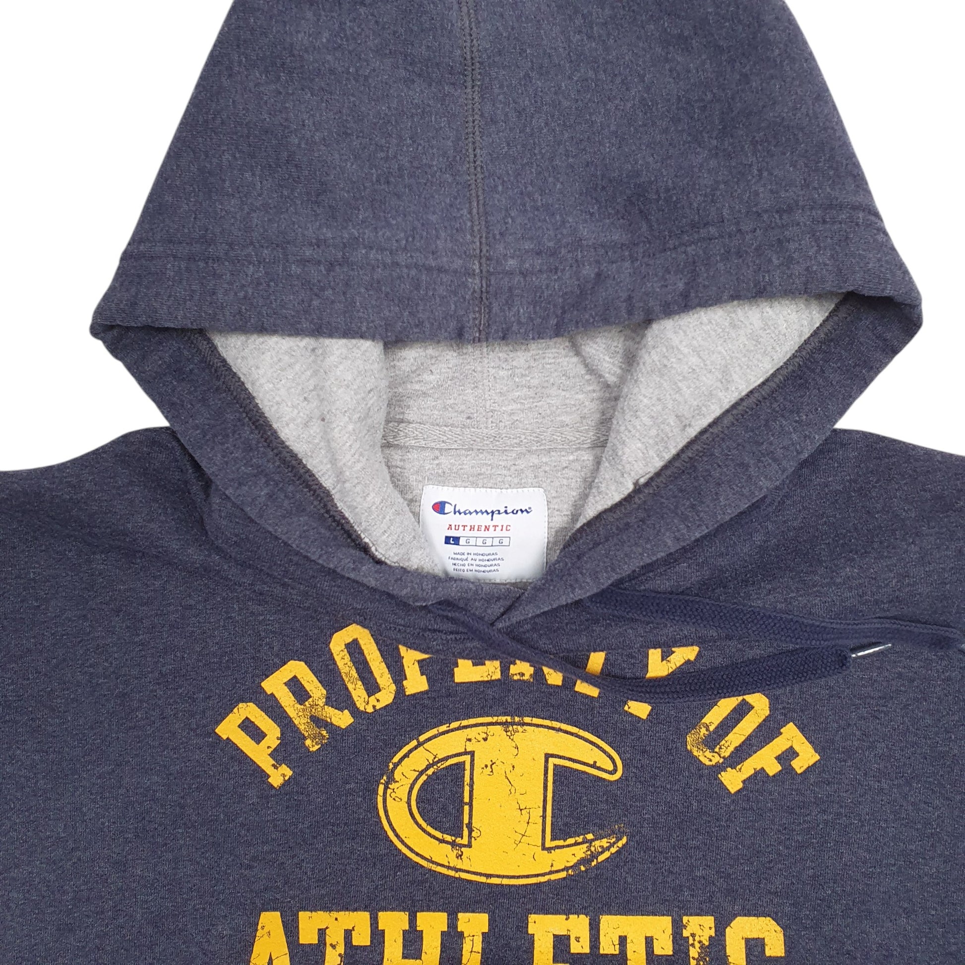 Mens Blue Champion Athletic Department Spellout Hoodie Jumper