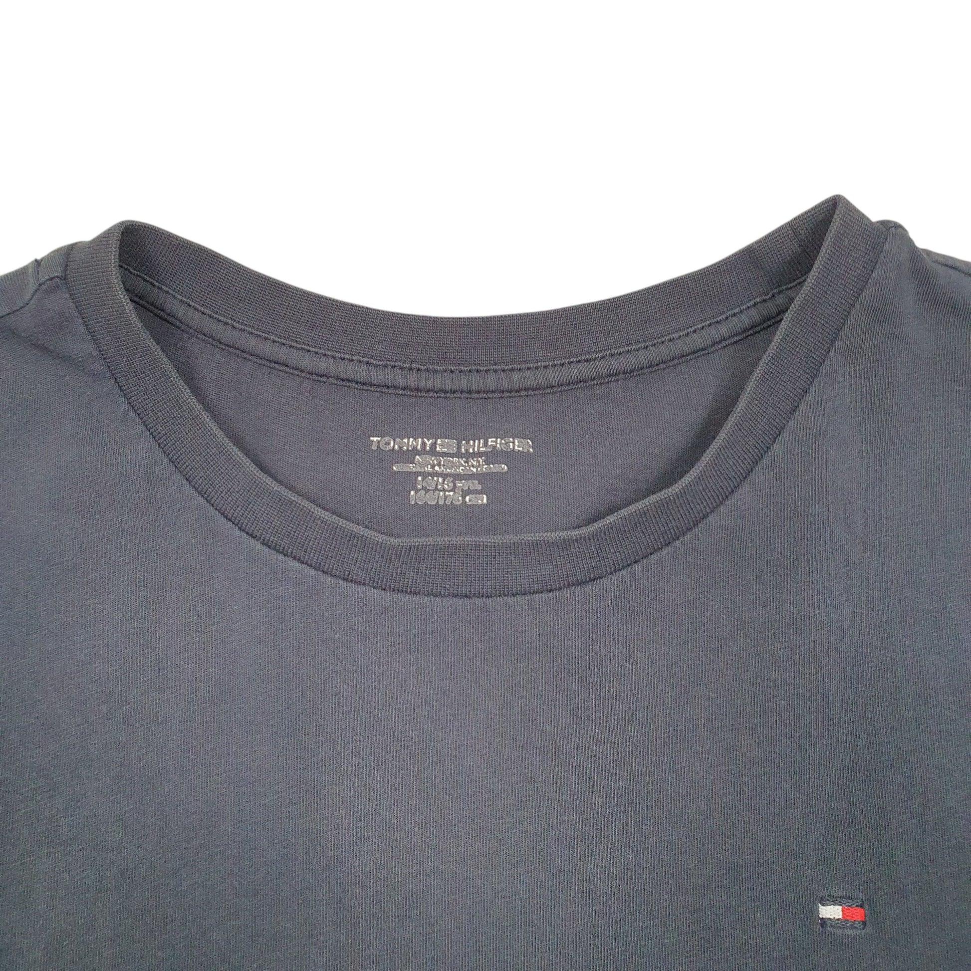 Mens Navy Tommy Hilfiger  Short Sleeve T Shirt