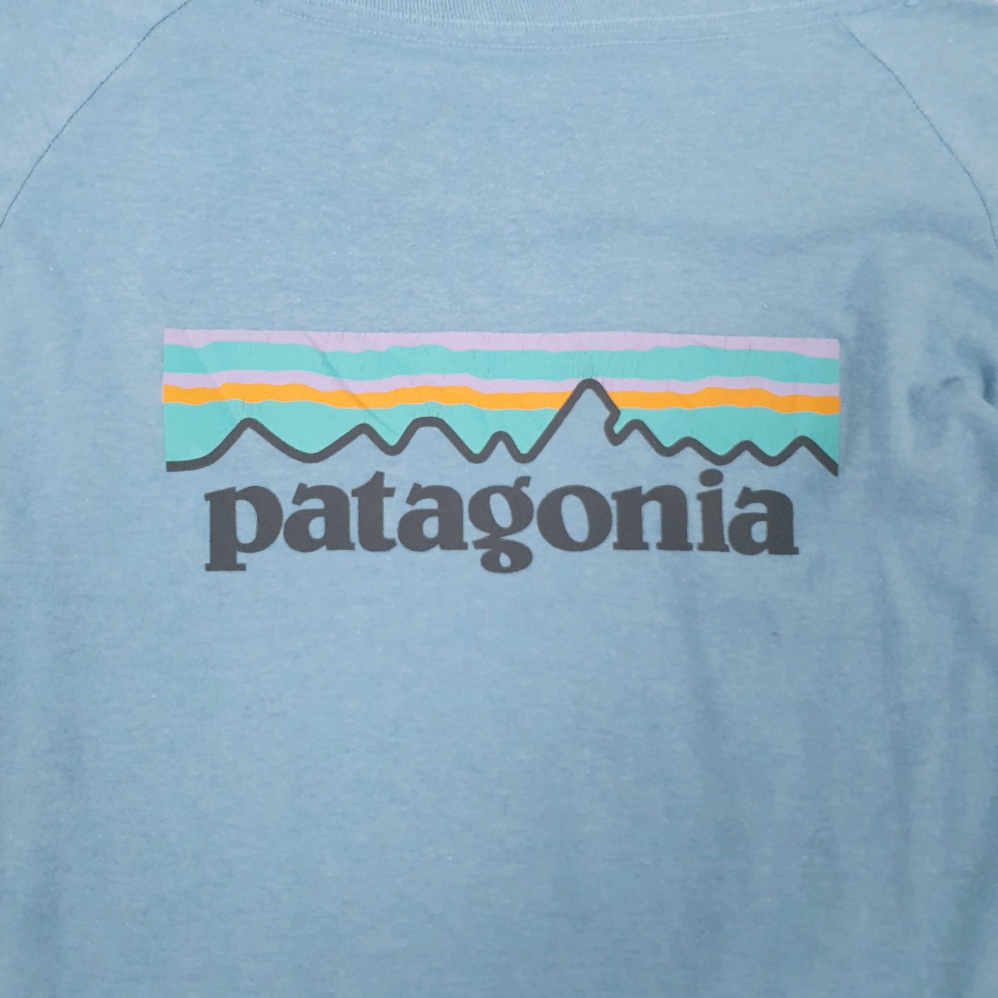 Mens Blue Patagonia  Long Sleeve T Shirt