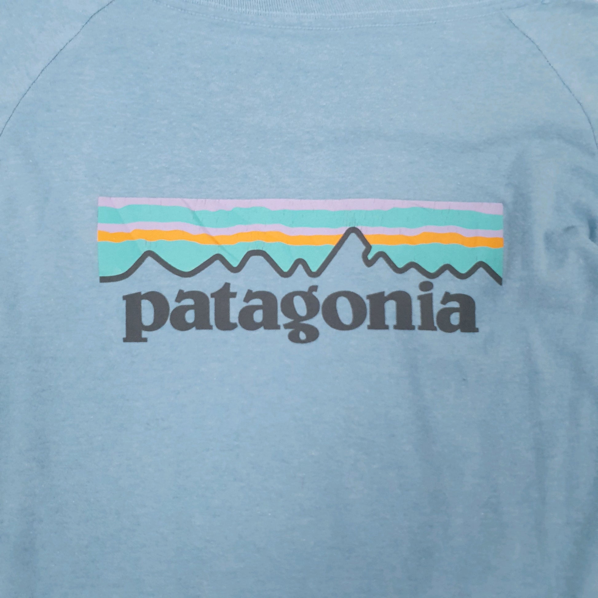 Mens Blue Patagonia  Long Sleeve T Shirt