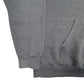 Mens Grey Champion College Spellout Hoodie Jumper