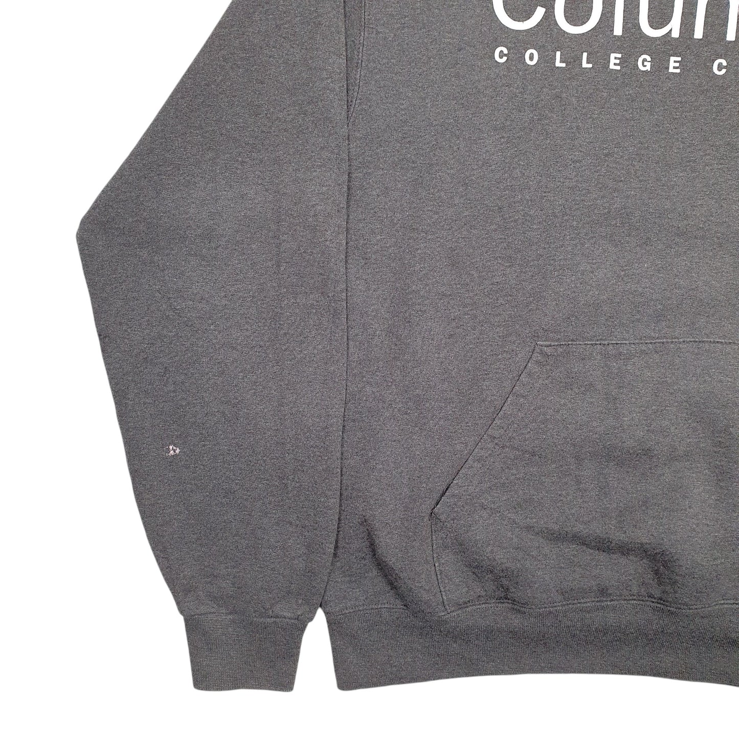 Womens Grey Champion Columbia Spellout Hoodie Jumper