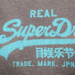 Womens Grey Superdry Japan Short Sleeve T Shirt