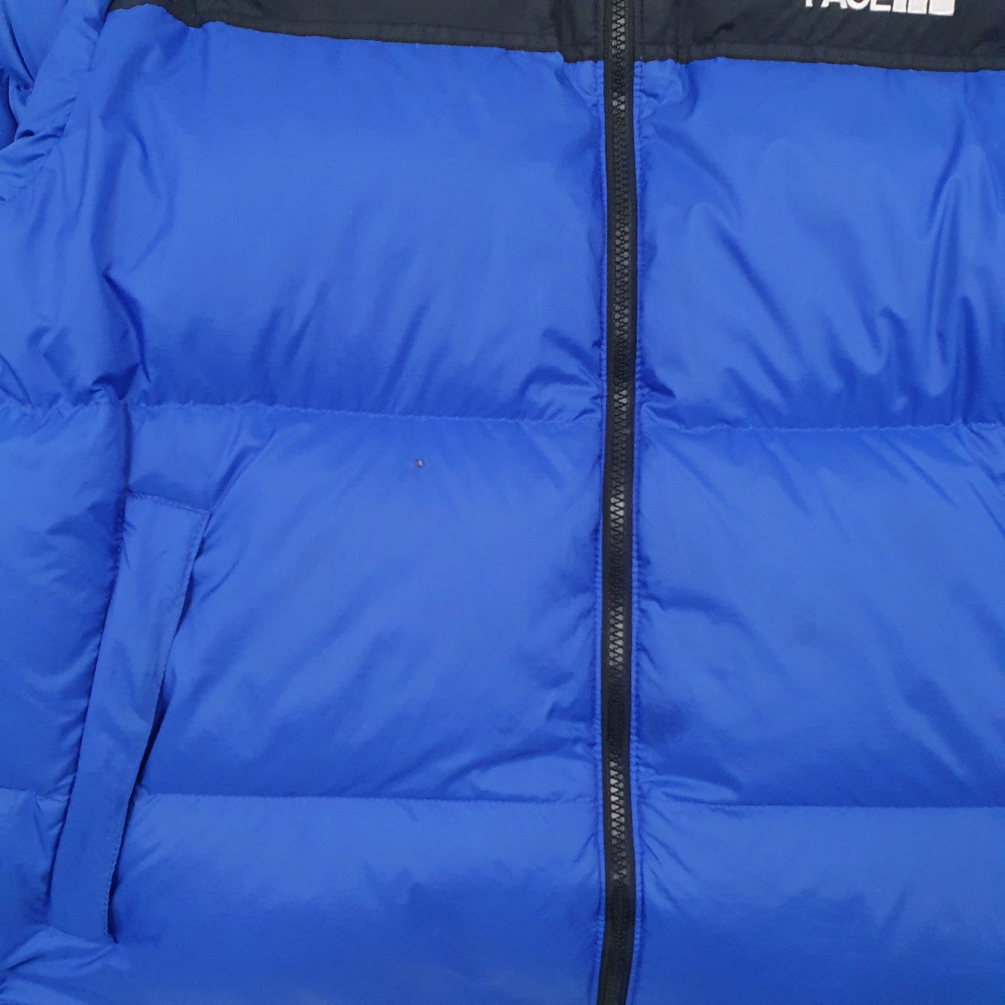 Mens Blue The North Face Nuptse 700  Coat