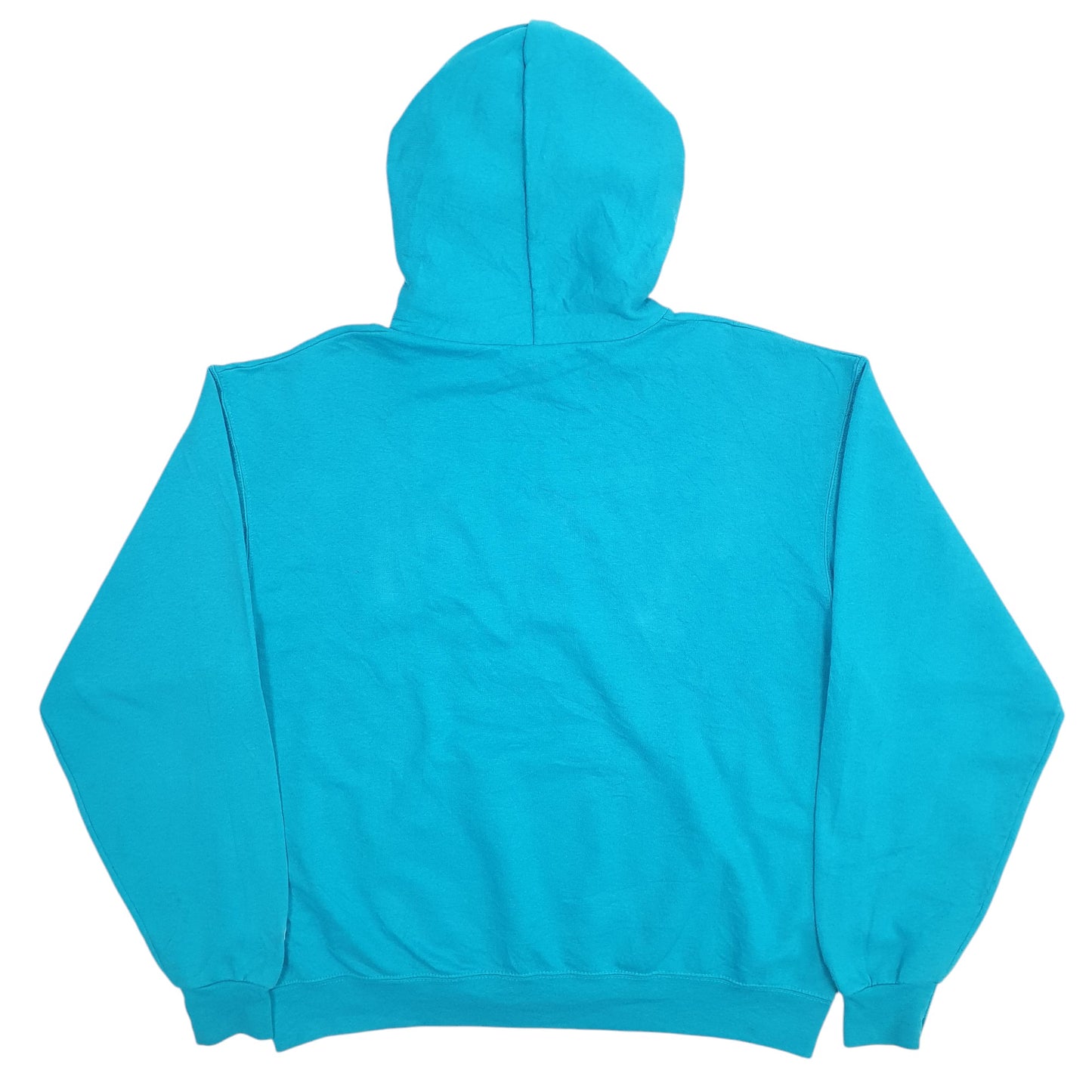 Mens Blue Champion University Of Delaware Spellout Hoodie Jumper