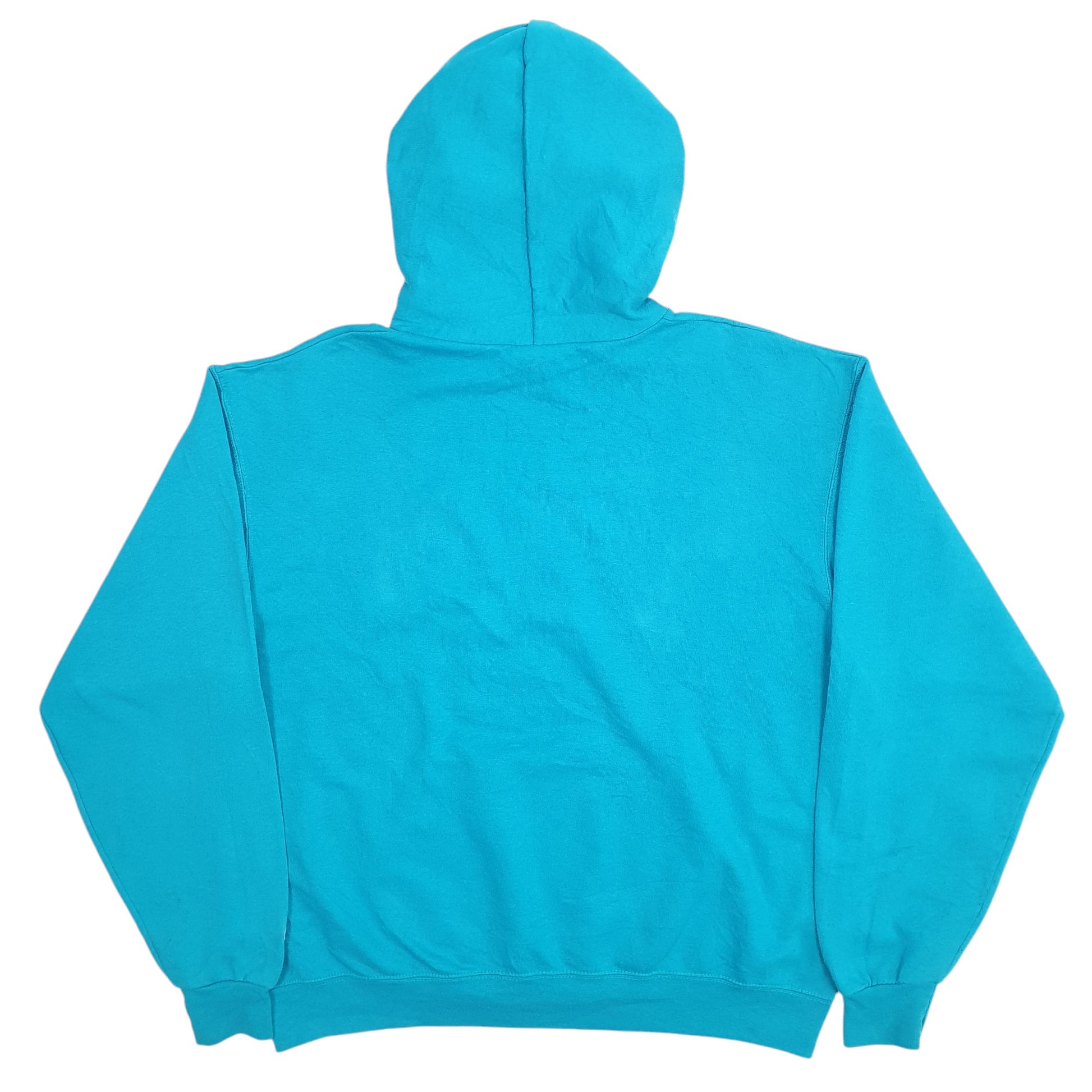 Mens Blue Champion University Of Delaware Spellout Hoodie Jumper