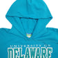 Mens Blue Champion University Of Delaware Spellout Hoodie Jumper