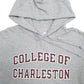 Mens Grey Champion USA College Hoodie Jumper