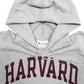 Mens Grey Champion Harvard University Spellout Hoodie Jumper