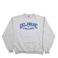 Womens Grey Champion Delaware Spellout Crewneck Jumper