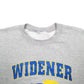 Mens Grey Champion Widened USA College Sports Spellout Crewneck Jumper