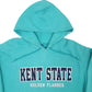 Mens Blue Champion Kent State Golden Flashes Hoodie Jumper