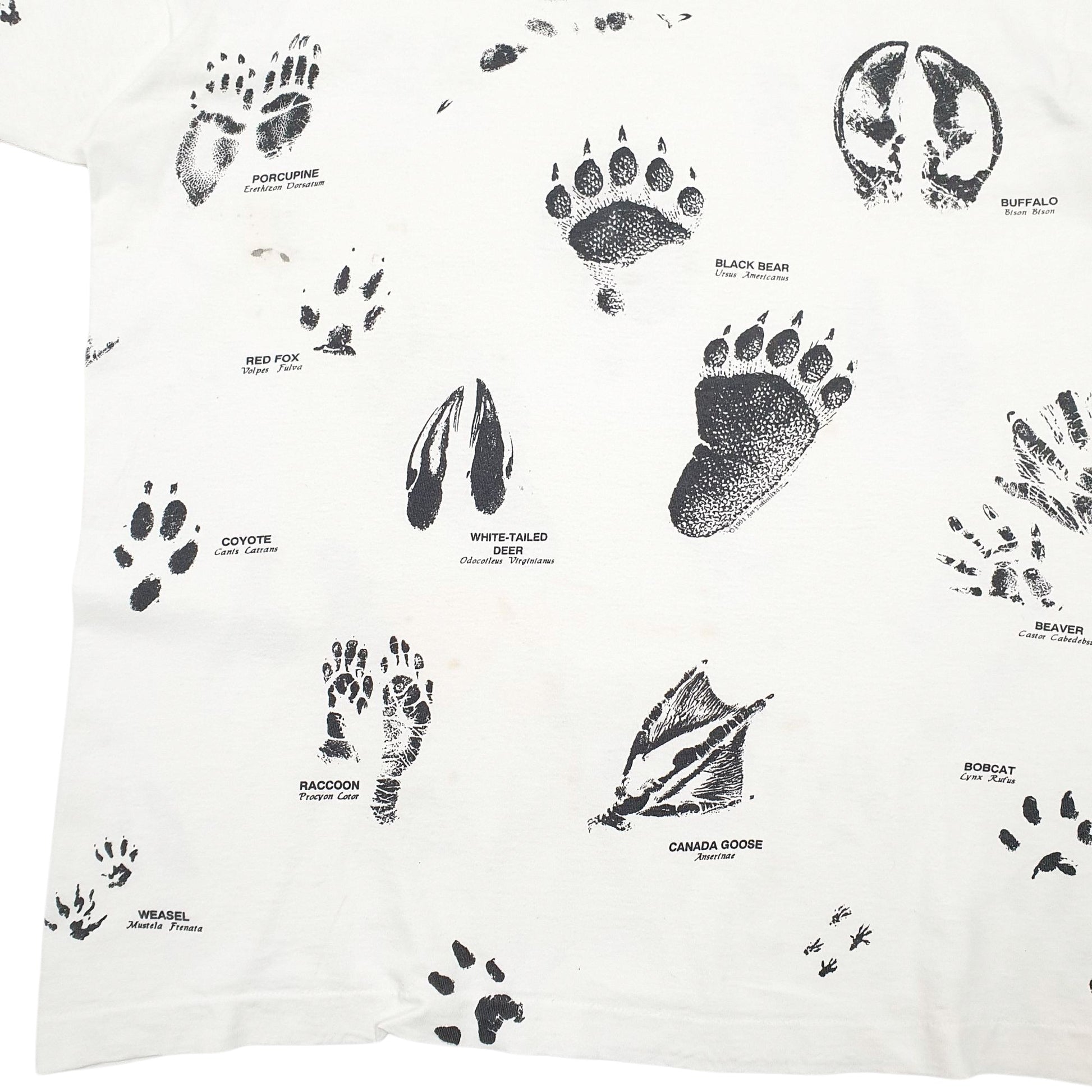 Mens White Fruit Of The Loom Single Stitch Vintage 90s Preshrunk Short Sleeve T Shirt