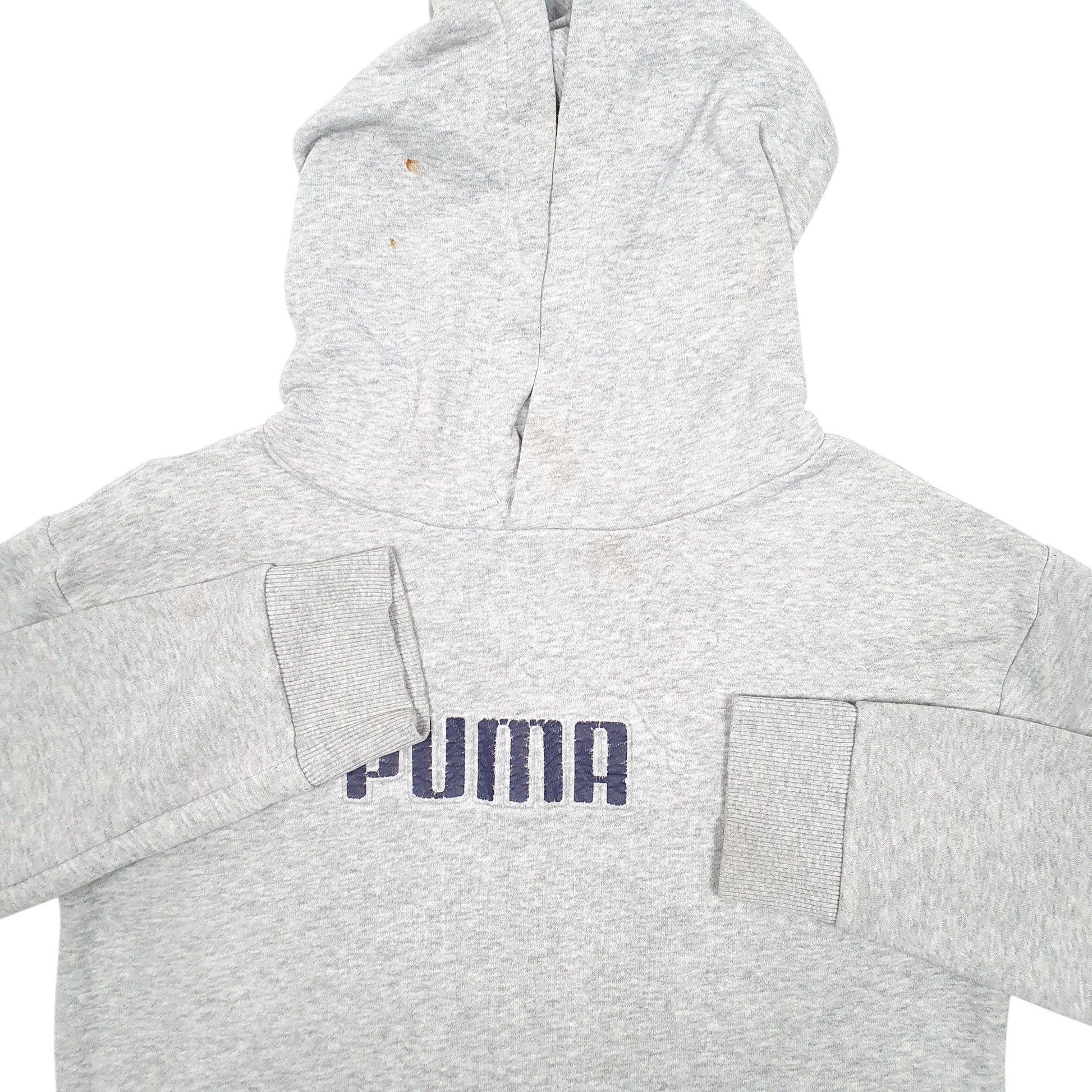 Womens Grey Puma Spellout Hoodie Jumper