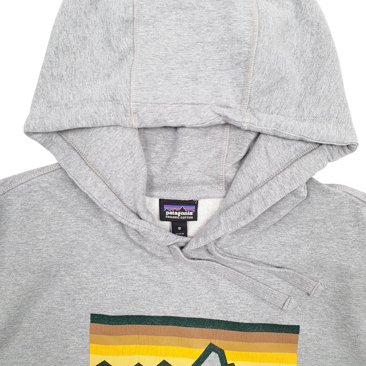 Mens Grey Patagonia Spellout Hoodie Jumper
