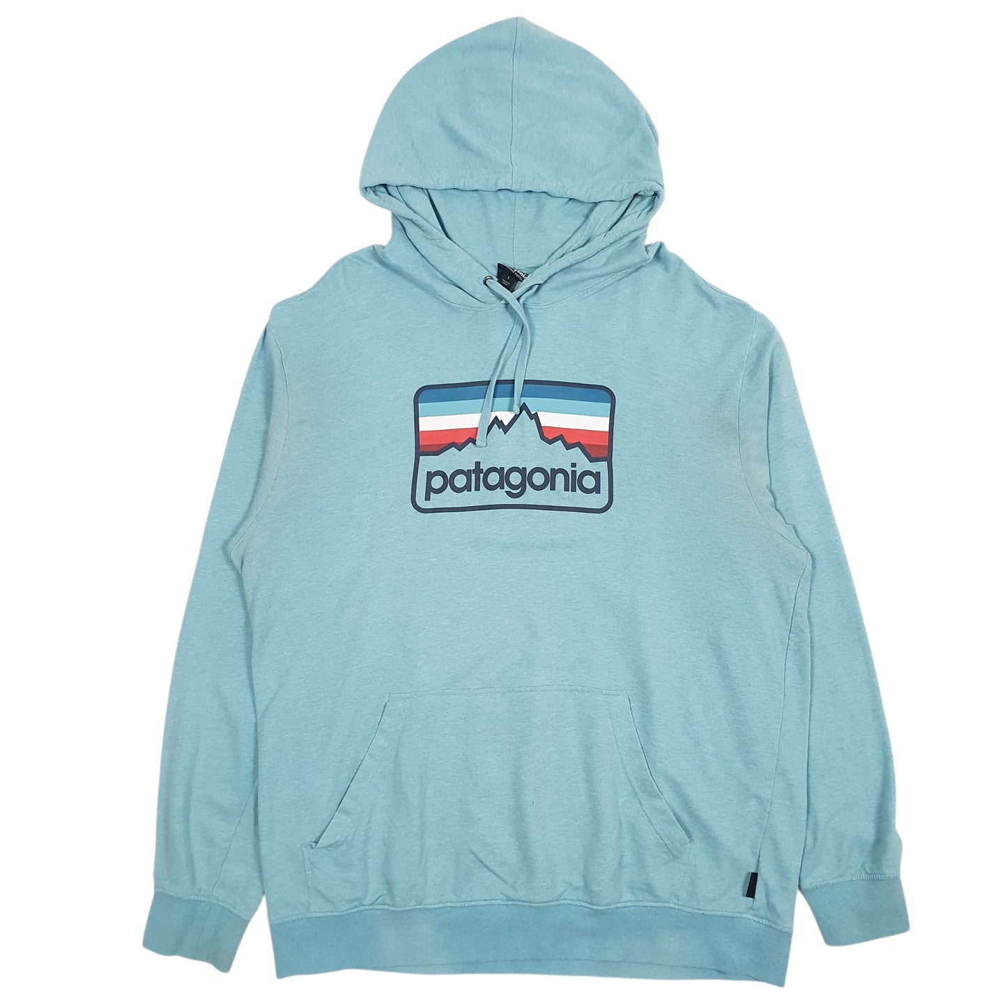 Mens Blue Patagonia Spellout Hoodie Jumper