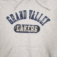 Mens Grey Champion  Hoodie Jumper
