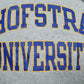 Mens Grey Champion Hofstra University Hoodie Jumper