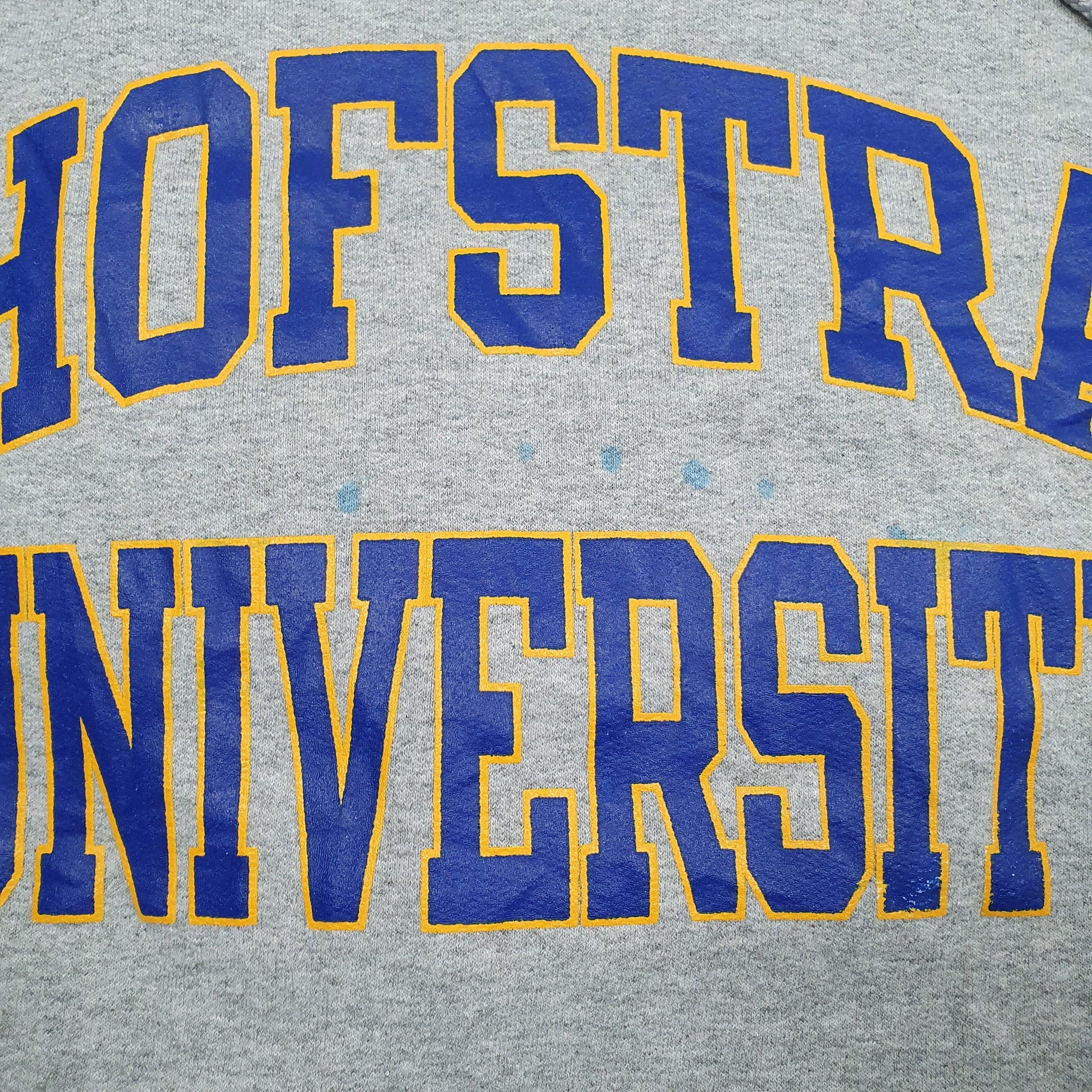 Mens Grey Champion Hofstra University Hoodie Jumper