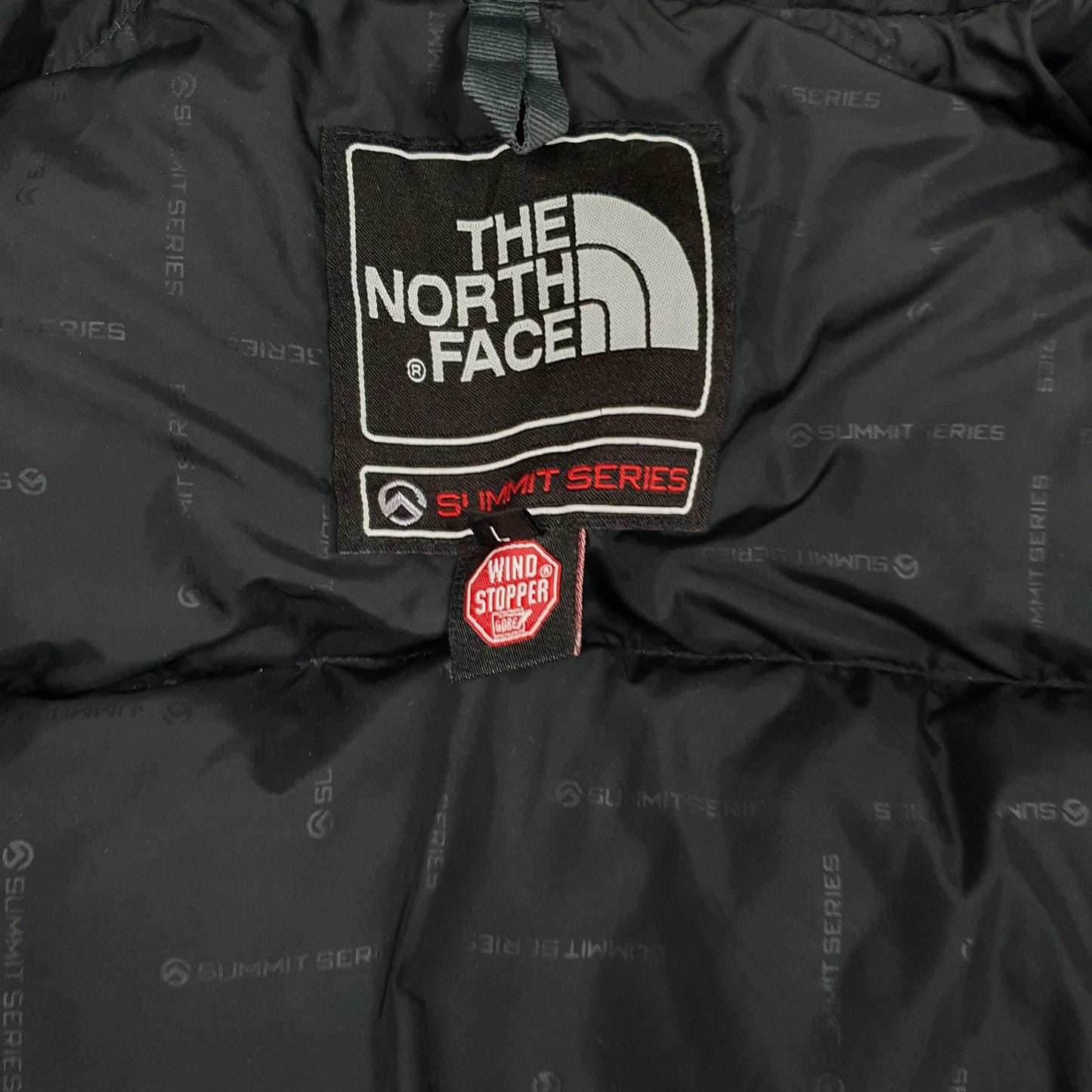 Womens Pink The North Face Baltoro Summit Series  Coat