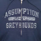 Mens Navy Champion  Full Zip Jumper