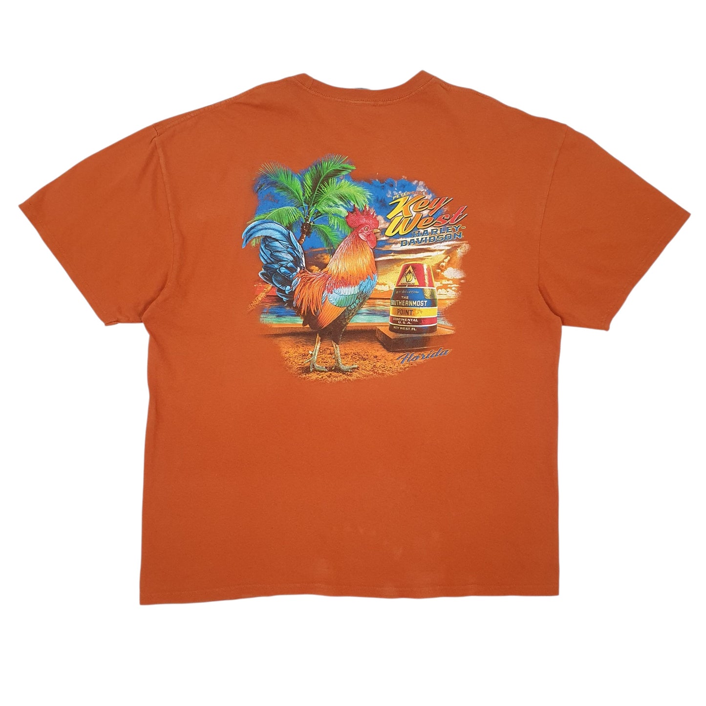 Mens Orange Harley Davidson   T Shirt