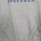 Mens Grey NFL Indianapolis Colts Hoodie Jumper