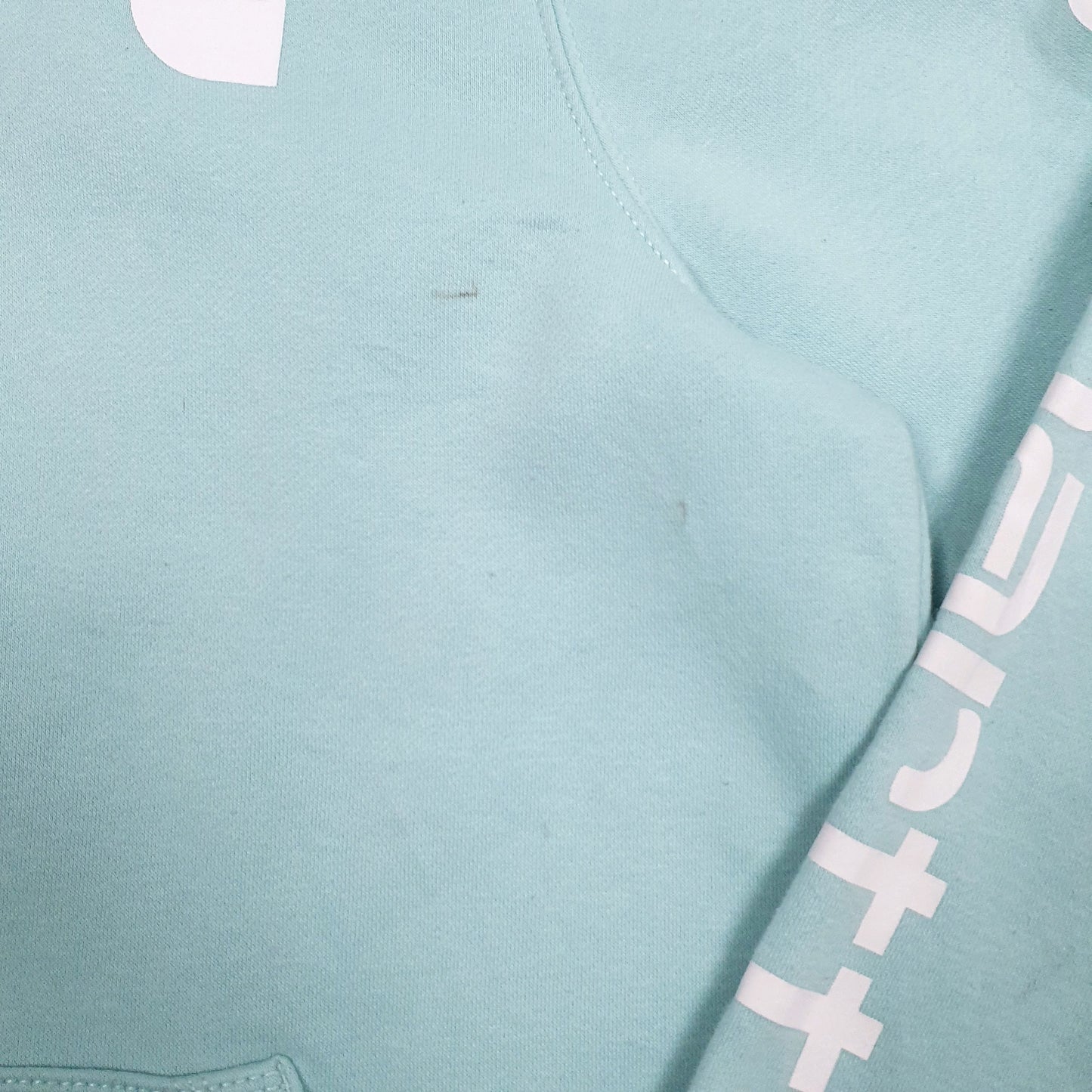 Womens Blue Carhartt  Hoodie Jumper