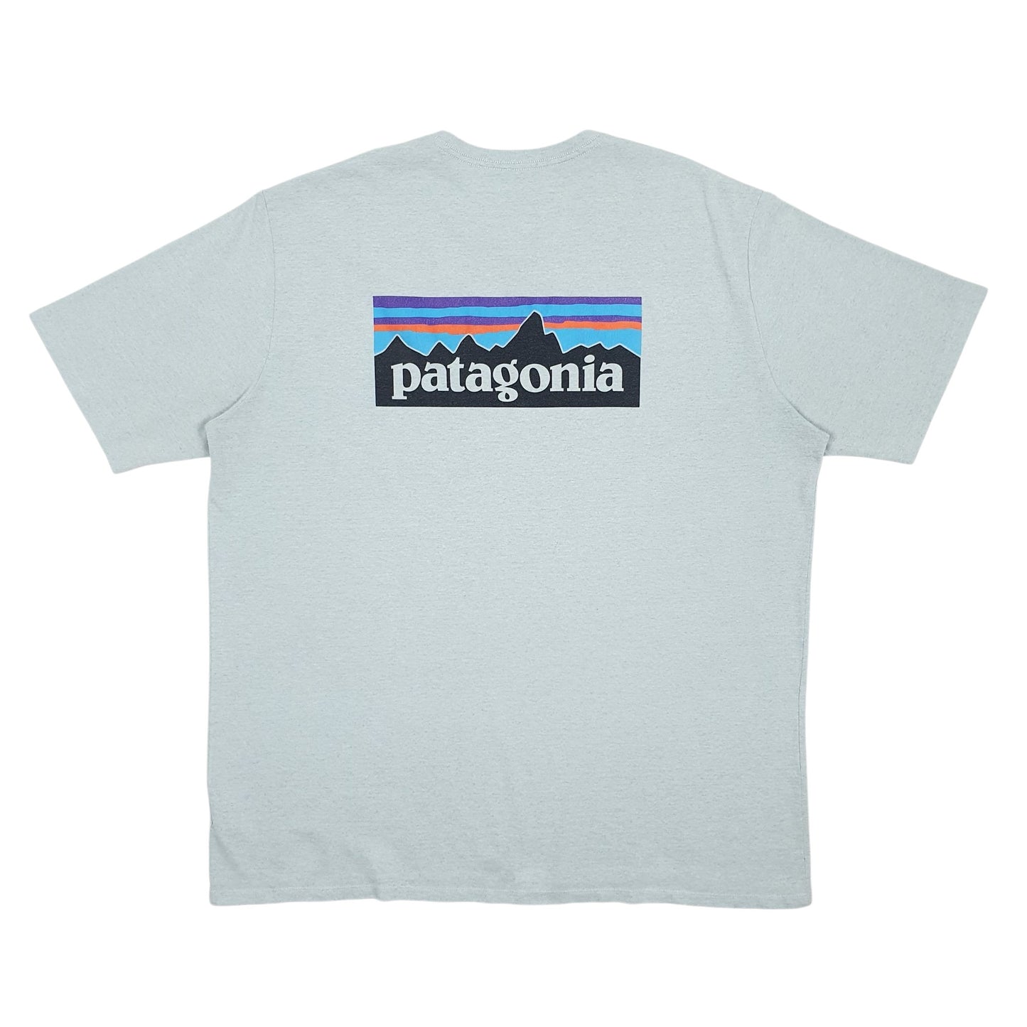 Mens Blue Patagonia   T Shirt