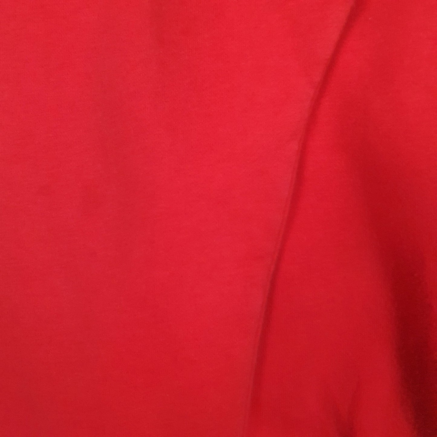 Mens Red Champion Spellout Hoodie Jumper