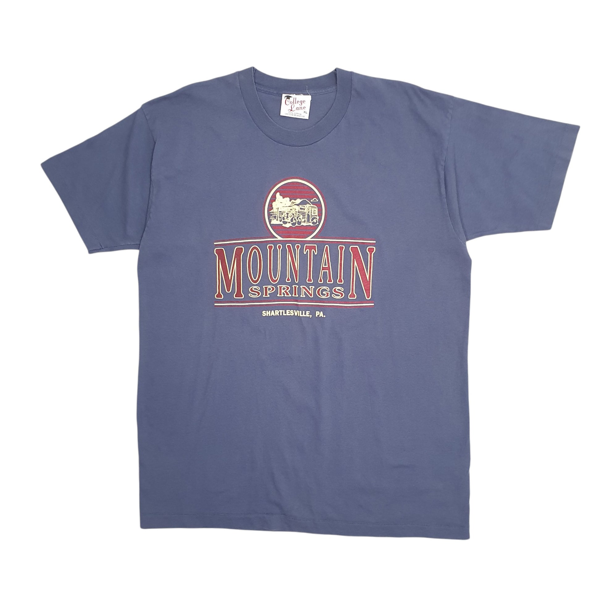 Mens Blue College Lane Single Stitch Vintage 90s Pennsylvania Short Sleeve T Shirt