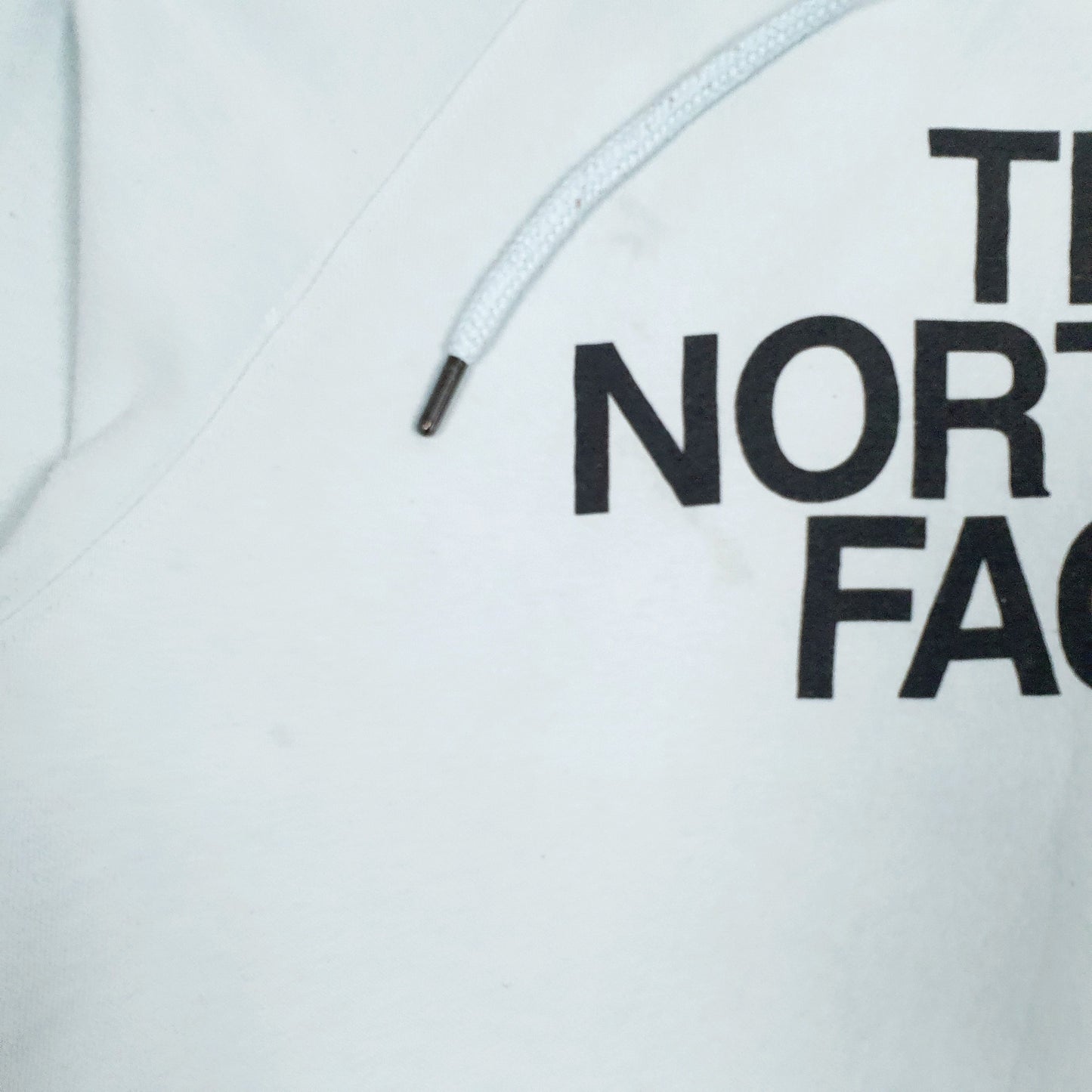 Womens Blue The North Face Spellout Hoodie Jumper