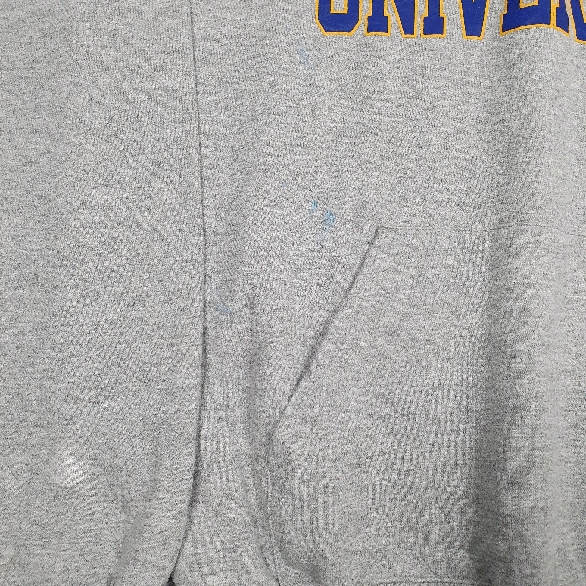 Mens Grey Champion Hofstra University Hoodie Jumper