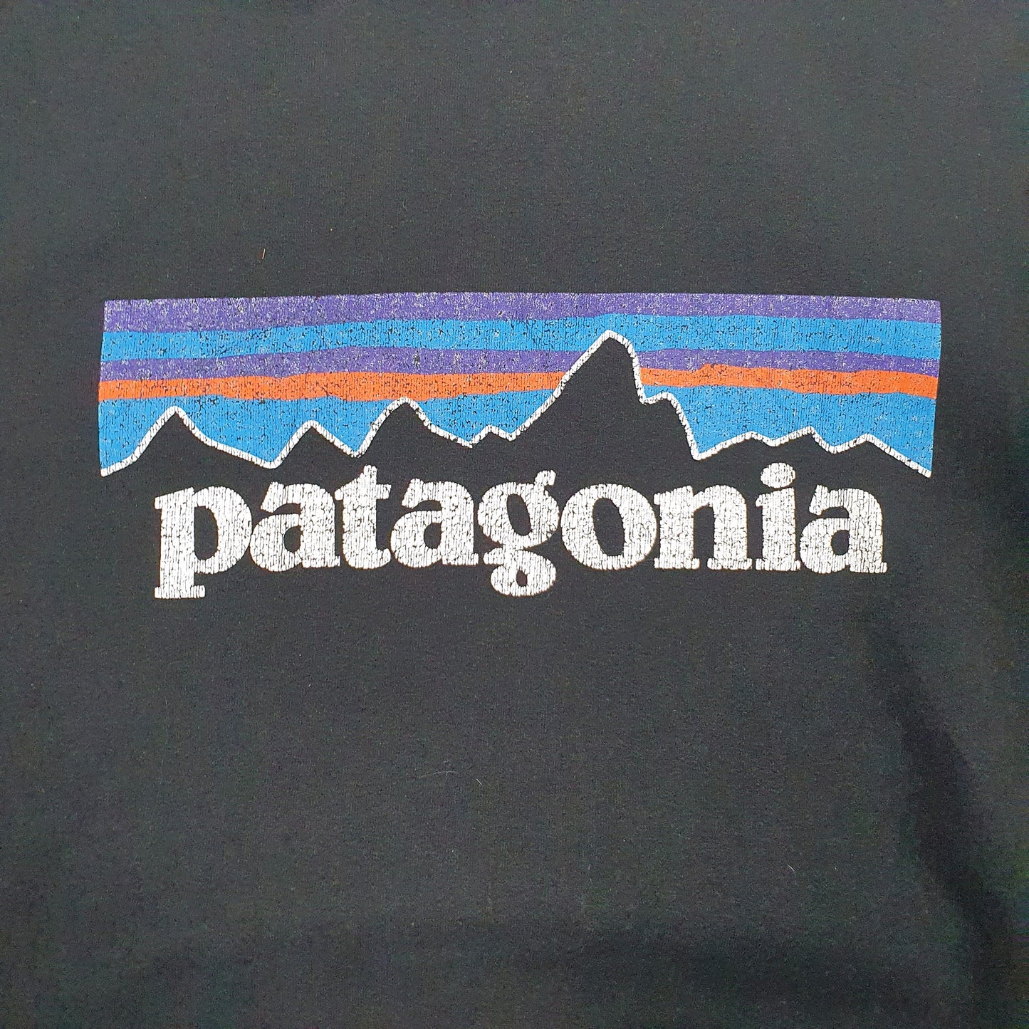 Mens Black Patagonia Spellout Hoodie Jumper