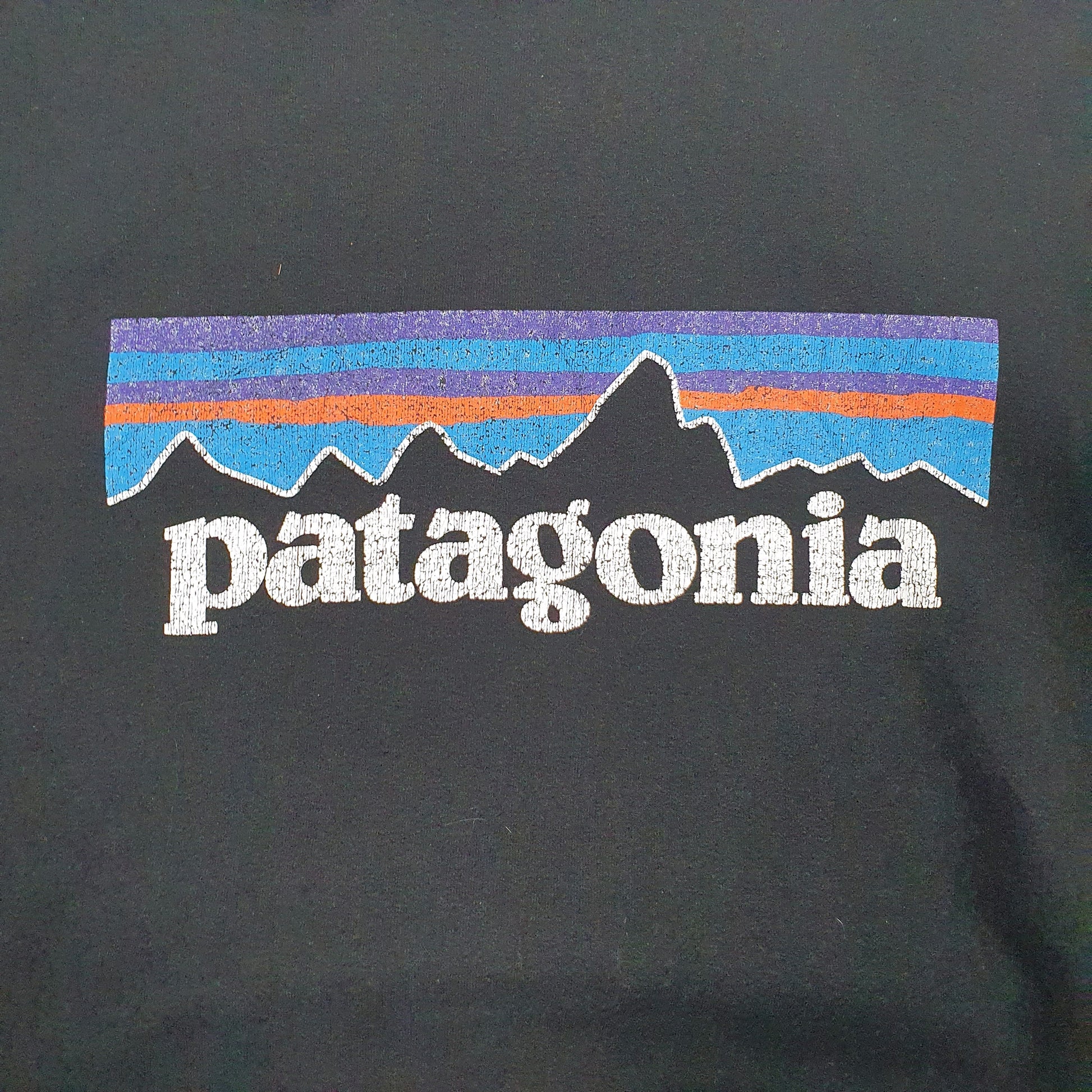 Mens Black Patagonia Spellout Hoodie Jumper