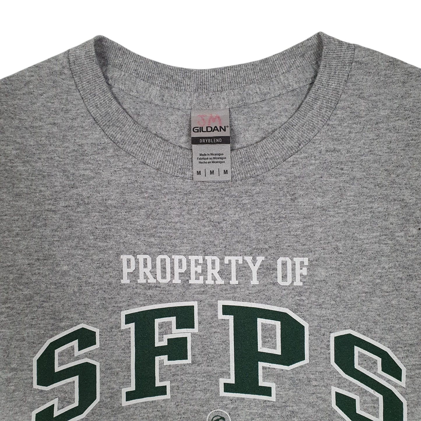 Mens Grey Gildan SFPS Physical Education  T Shirt