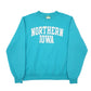 Mens Blue Champion Northern Iowa Crewneck Jumper