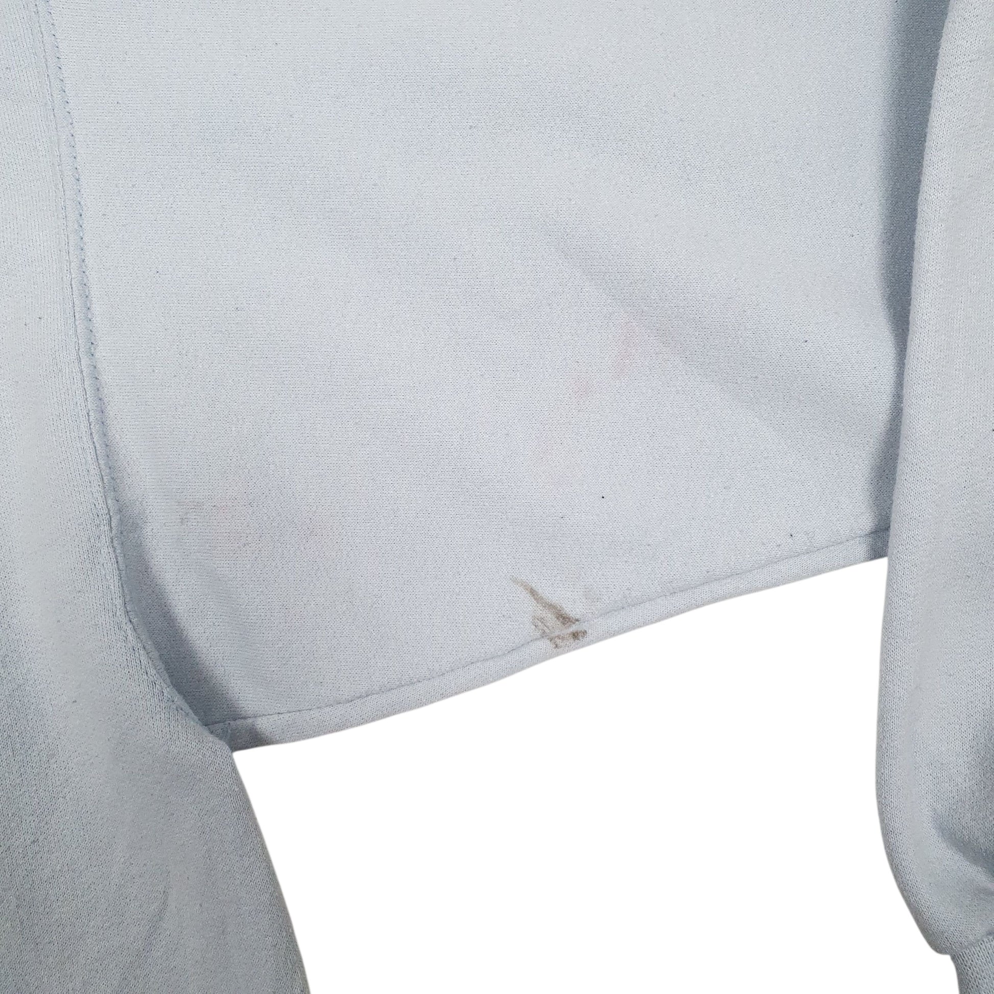 Mens Blue Champion  Hoodie Jumper