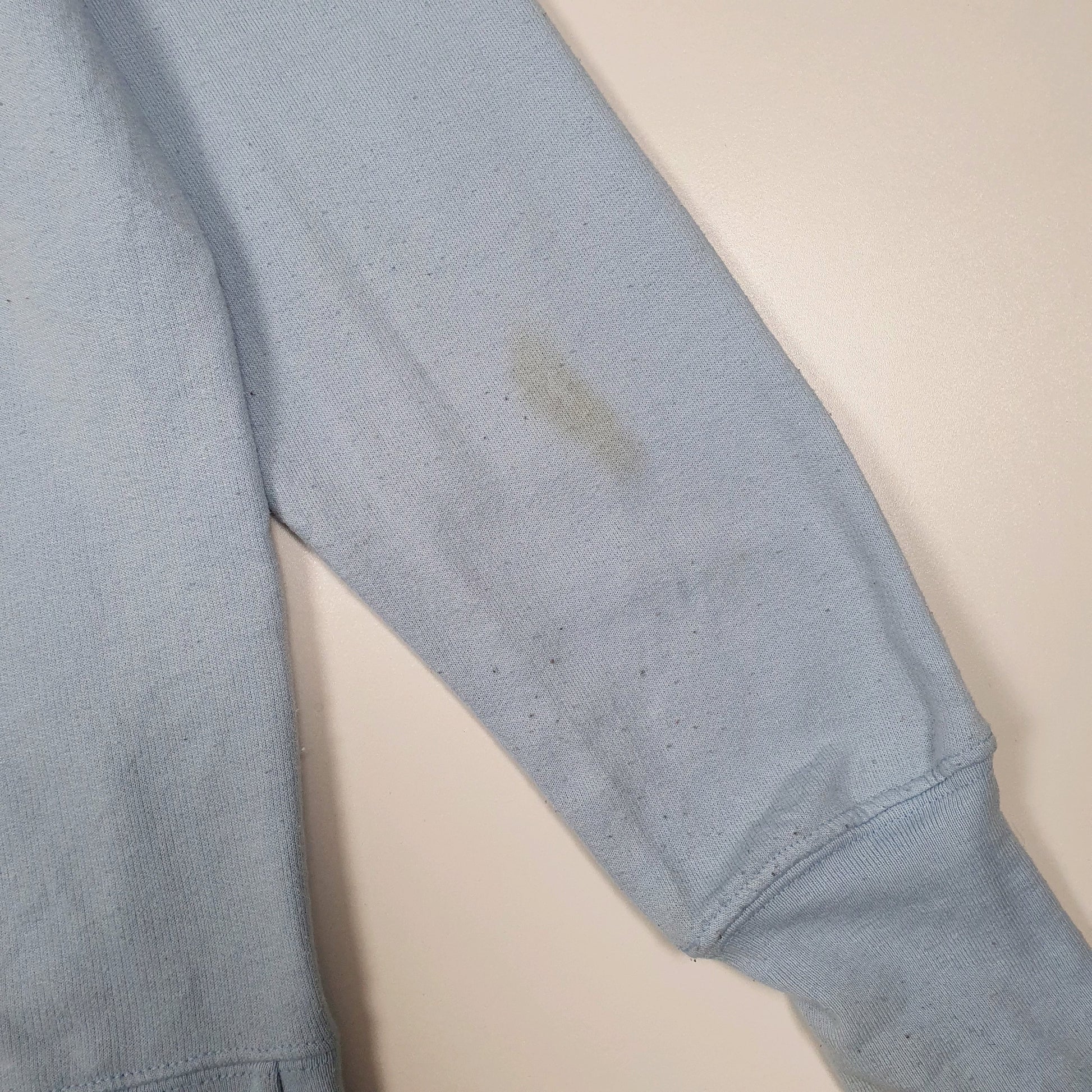 Womens Blue Champion  Hoodie Jumper