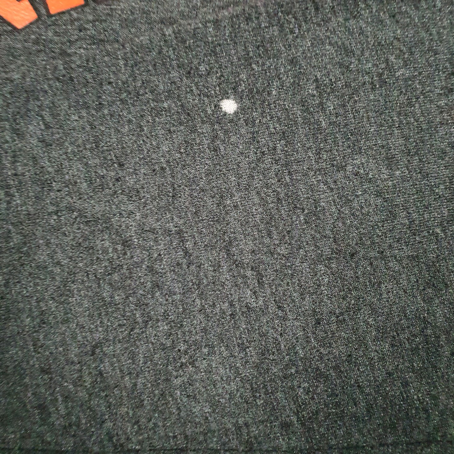 Mens Grey Champion Princeton University Crewneck Jumper