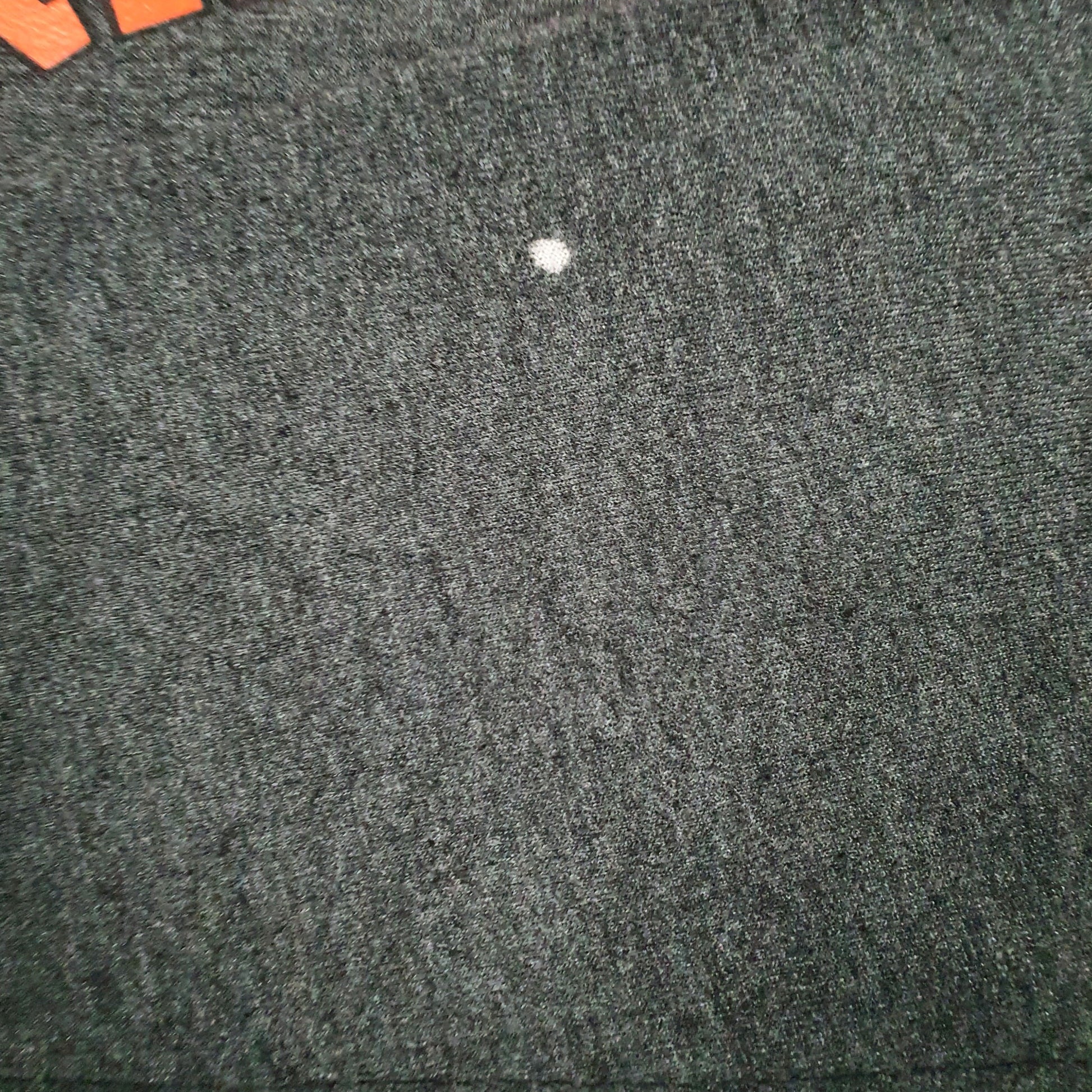 Mens Grey Champion Princeton University Crewneck Jumper