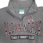 Mens Grey Champion Alexandria Quarter Zip Jumper