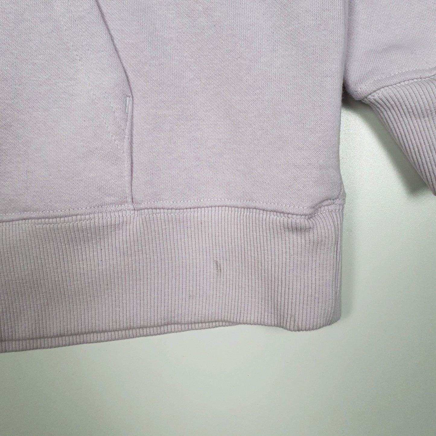 Womens Purple The North Face  Hoodie Jumper