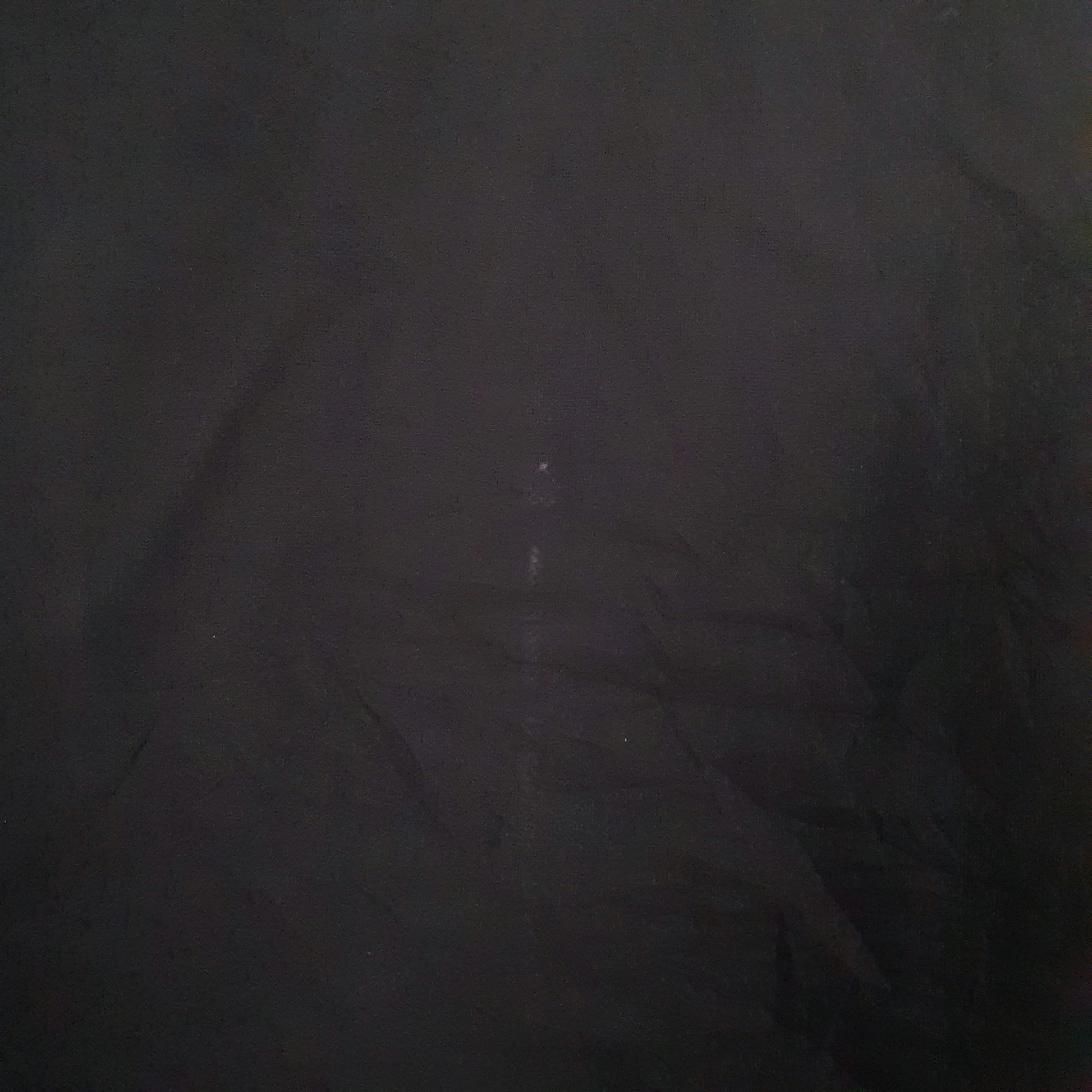 Mens Black Adidas Clima365 Hoodie Coat