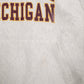 Mens Grey Champion Reverse Weave Central Michigan Hoodie Jumper