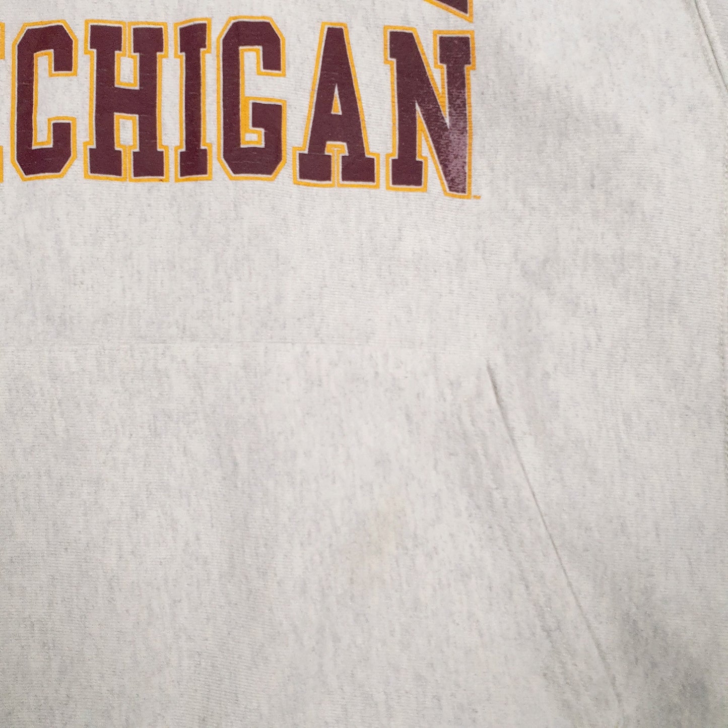 Mens Grey Champion Reverse Weave Central Michigan Hoodie Jumper
